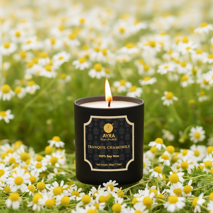Tranquil Chamomile Candle | Big Glass
