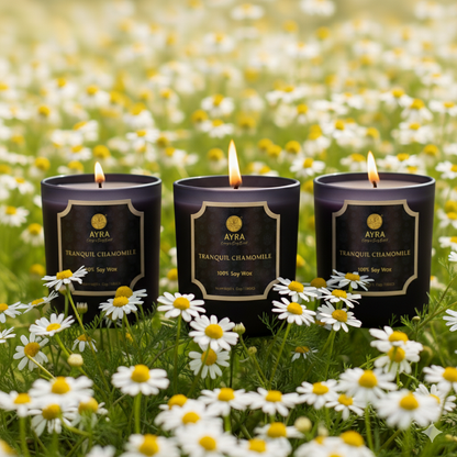 Tranquil Chamomile Candle | Set of 3